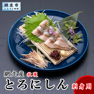 網走産とろにしん お刺し身用 【 ふるさと納税 人気 おすすめ ランキング とろにしん にしん 網走産 冷凍 北海道 網走市 送料無料 】 ABX065