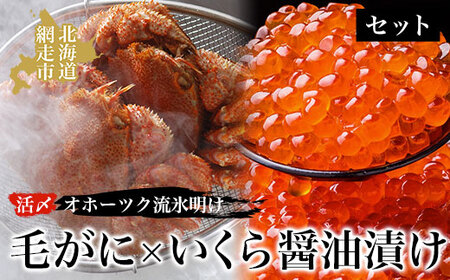 毛ガニ オホーツク流氷明けの活〆毛がにといくら醤油漬けセット