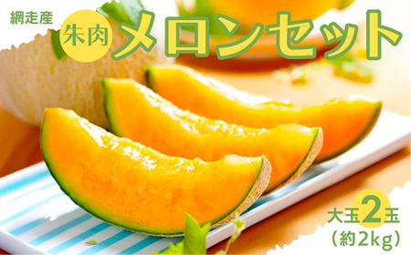 [期間・数量限定]甘くて美味しい 網走産朱肉メロン2玉[早期予約][網走産](2025年6月15日以降発送)