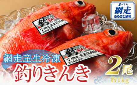 網走産生冷凍釣きんき【2尾で約1kg】 【 ふるさと納税 人気 おすすめ ランキング きんき キンキ 釣りキンキ 釣りきんき 釣キンキ 釣きんき 喜知次 めんめ メンメ お祝い ギフト お歳暮 セット 冷凍 海鮮 新鮮 オホーツク 北海道 網走市 送料無料 】 ABAO073