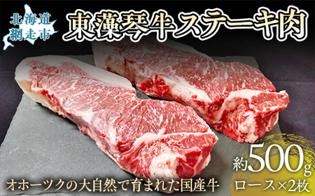 [数量限定]東藻琴牛ステーキ肉 [ ふるさと納税 人気 おすすめ ランキング 牛肉 ビーフ 東藻琴牛 国産牛 ひがしもこと牛 ステーキ ステーキ肉 北海道 網走市 送料無料 ]