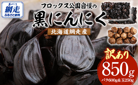 【先行予約】【訳あり】フロックス公園自慢の黒にんにく（2025年8月より発送予定） 【 ふるさと納税 人気 おすすめ ランキング にんにく ニンニク 黒にんにく 黒ニンニク 野菜 網走産 ギフト 贈り物 贈答 オホーツク 北海道 網走市 送料無料 】 ABBJ001