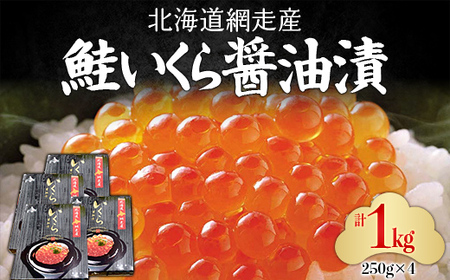 ԑYuݖЁvh[1kg(250g×4)  ABC034