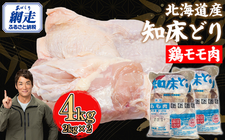 kCY mǂ { 4kgi2kg × 2j | { { Ƃ Y ABC039