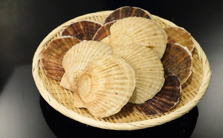 【先行予約】北海道網走産天然活ホタテ貝 4kg前後（令和7年7月より順次発送）| 活ホタテ 活きほたて ホタテ ほたて 帆立 活ほたて 北海道 網走市 ABAE017