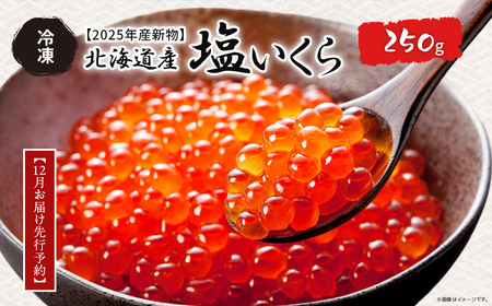 [12月お届け先行予約][2025年産新物]北海道産 塩いくら(冷凍)250g ABAB005 | いくら