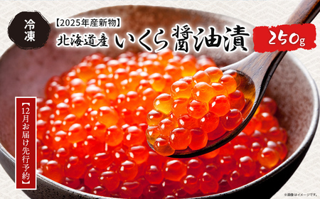 [12月お届け先行予約][2025年産新物]北海道産 いくら醤油漬(冷凍)250g ABAB006 | いくら