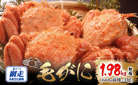 ԑY т1.98kgOi660gO×3j ABW110
