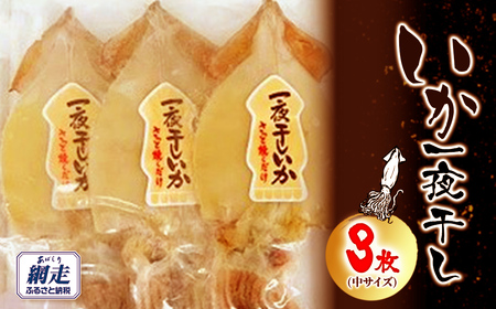 いか一夜干し 3枚 中サイズ