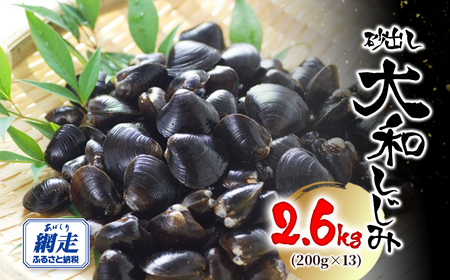 ԑΎY oa 2.6kg(200g×13j ABW118