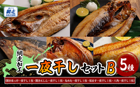 網走加工の一夜干しセット 5種B ABB173