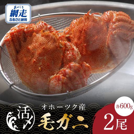 オホーツク産活〆毛ガニ 2尾（600g×2） ABAO2206