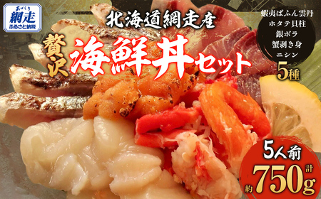 贅沢 網走海鮮丼セット「5人前」