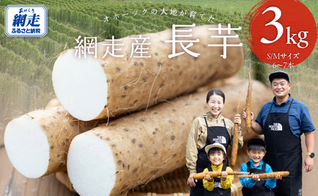 長芋 3kg