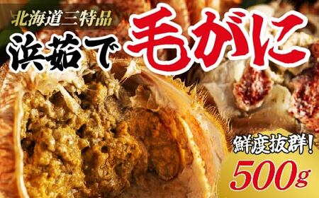 身詰まり抜群！三特茹で毛がに 約500g×1尾 ＜網走産＞◇【丸北北都