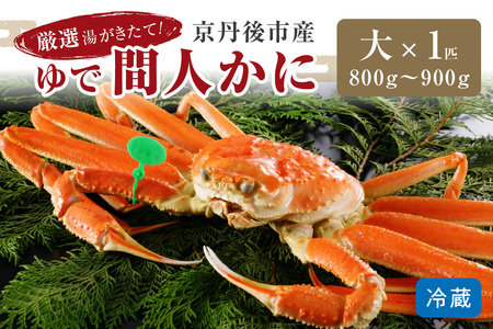 [1〜3月発送]厳選湯がきたて!京丹後市産ゆで間人かに 800g〜900g大サイズ/北畿水産