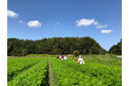 オーガニックファームでのんびり過ごそう!収穫体験&お土産付き(2名様分)