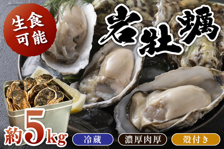 京都・京丹後産 鮮度抜群!濃厚肉厚岩牡蠣(生食用)約5kg(約10個)(殻付き・かんかん入り・冷蔵・ナイフ付き)