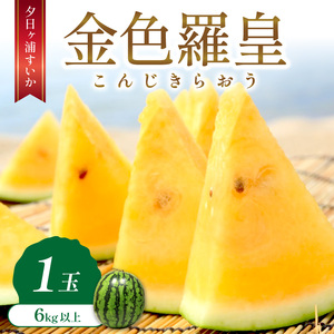 [先行予約/数量限定50]夕日ヶ浦すいか(金色羅皇) 1玉(2026年7月中旬〜発送)果物 くだもの スイカ 西瓜 ふるさと納税 スイカ ふるさと納税 先行予約 フルーツ ふるーつ 甘い 京都 丹後 高級