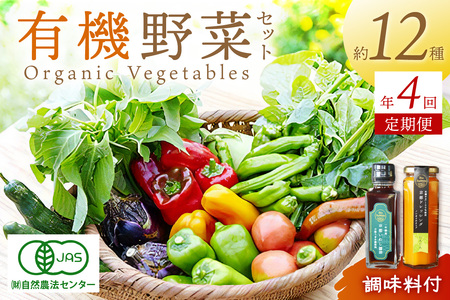 [年4回定期便][てんとうむしばたけ]オーガニック野菜&調味料セット 有機野菜11〜12種(4人用)&調味料2種