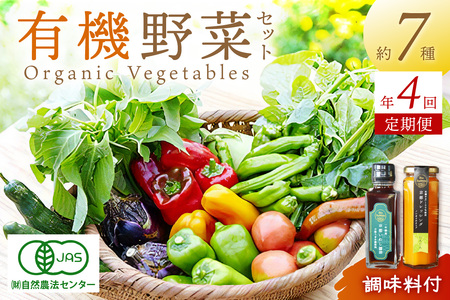 [年4回定期便][てんとうむしばたけ]オーガニック野菜&調味料セット 有機野菜6〜7種(2人用)&調味料2種