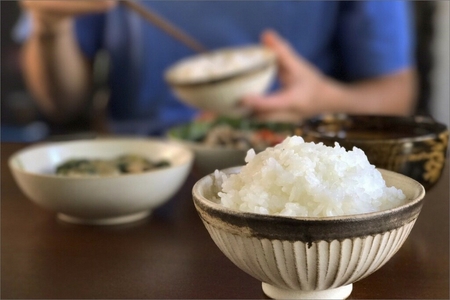 2025NY sEhY RVqJ 4.5kgi͔|Ԓ_Ew엿sgpj