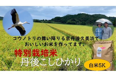 令和6年産 丹後こしひかり 白米5kg[特別栽培米]新米