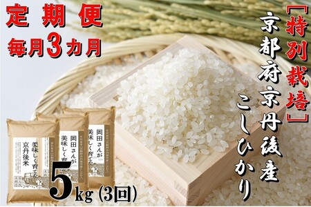 y3zʍ͔| s{OsYЂ c񂪔ĂO5kg×3J