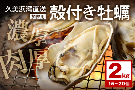 朝採れ、鮮度抜群!濃厚!肉厚!久美浜湾直送 殻付き牡蠣2kg(15〜20個)