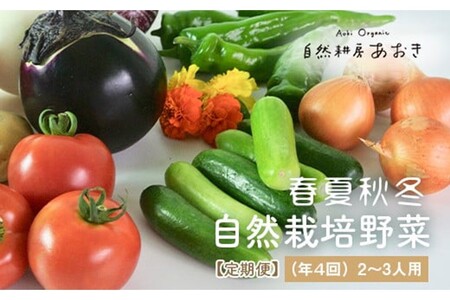 [年4回定期便]春夏秋冬自然栽培野菜セット(年4回)2〜3人用