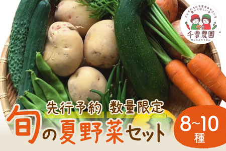 [先行予約/数量限定100]農家直送 旬の夏野菜8〜10種セット