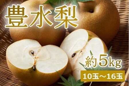 [先行予約]樹上完熟 豊水梨 5kg(10〜16個)(2024年9月上旬〜発送)