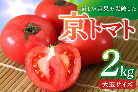 [先行予約]究極トマト 完熟トマト 京丹後産・京トマト 2kg(8〜10玉) 春夏発送(2025年5月中旬〜発送) 甘いトマト 大玉トマト お野菜 夏野菜 高糖度 濃厚 美味しい tomato