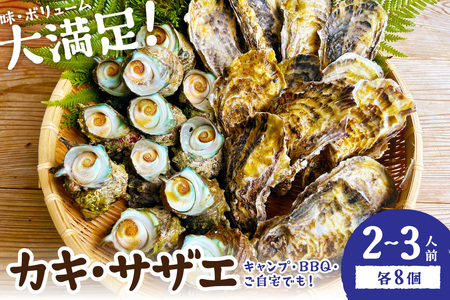 大人気!京丹後産・牡蠣とサザエのBBQセット 各8個(2〜3人前)