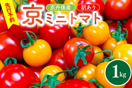 [先行予約]京丹後産・京ミニトマト 1kg(2025年5月中旬〜発送)