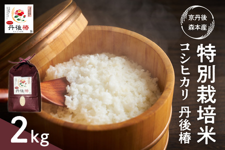 令和6年産 特別栽培米コシヒカリ 丹後椿(京丹後森本産) 2kg