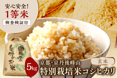 2025�N�Y ���s�E���O���R ���ʍ͔|�ăR�V�q�J�� 5kg �y���āz 1���� �����Ϗؕt