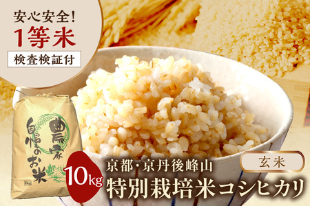 2025年産 京都・京丹後峰山 特別栽培米コシヒカリ 10kg 【玄米】 1等米 検査済証付