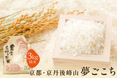 2025�N�Y ���s�E���O���R ���ʍ͔|�Ė������� 3kg �y���āz