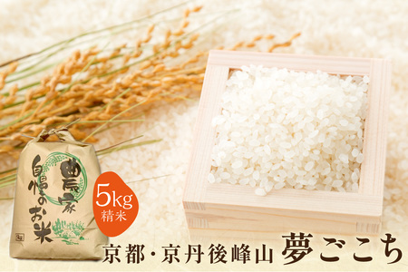 2025�N�Y ���s�E���O���R ���ʍ͔|�Ė������� 5kg �y���āz