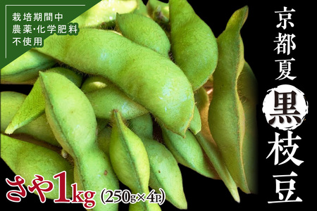 【先行予約／数量限定50】京都夏黒枝豆さや 1kg（250g×4パック）（栽培期間中農薬・化学肥料・除草剤不使用）（2025年7月中旬～発送）