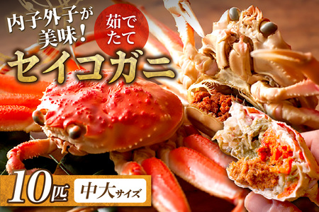 カニ ボイルガニ /[蟹の匠 魚政]内子外子が美味! 茹でたて セイコガニ(セコ蟹)(香箱ガニ)(こっぺ)中大サイズ 10匹セット ボイル・香箱・セイコ・セコガニ カニ 松葉蟹 松葉ガニ セイコ セイコガニ セコ セコガニ 香箱 香箱ガニ こっぺ 茹で ガニ 味噌 味噌 内子 外子