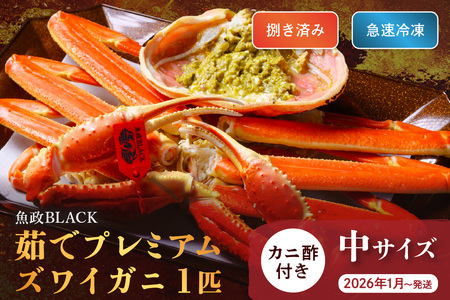 yȈ zBLACK v~AYCKjq䥂ŁEJρr}Ⓚ TCY 1t@Jj|t@(2026N1`)
