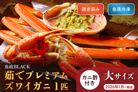 yȈ zBLACK v~AYCKjq䥂ŁEJρr}Ⓚ TCY 1t@Jj|t@(2026N1`) I