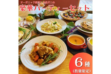 [クリスマスオードブル]オーガニック野菜と香住ガニの豪華パーティーセット(数量限定)