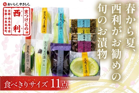 漬物 京漬物の西利 春から夏、西利がお勧めの旬のお漬物 11点セット