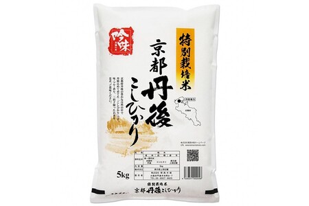 [最高級自慢のお米]京丹後産特別栽培米こしひかり 5kg