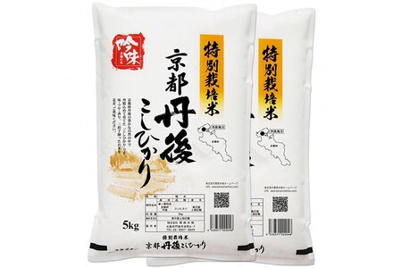 yō̂āzOYʍ͔|ĂЂ 10kg
