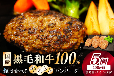 [クリスマスまでにお届け(12月20日〜23日配送)]塩で食べるやわらかハンバーグ(デミグラスソース付)