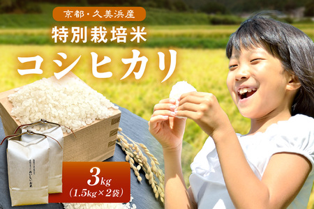 2025年産 京都・久美浜産 特別栽培米コシヒカリ 1.5kg×2袋